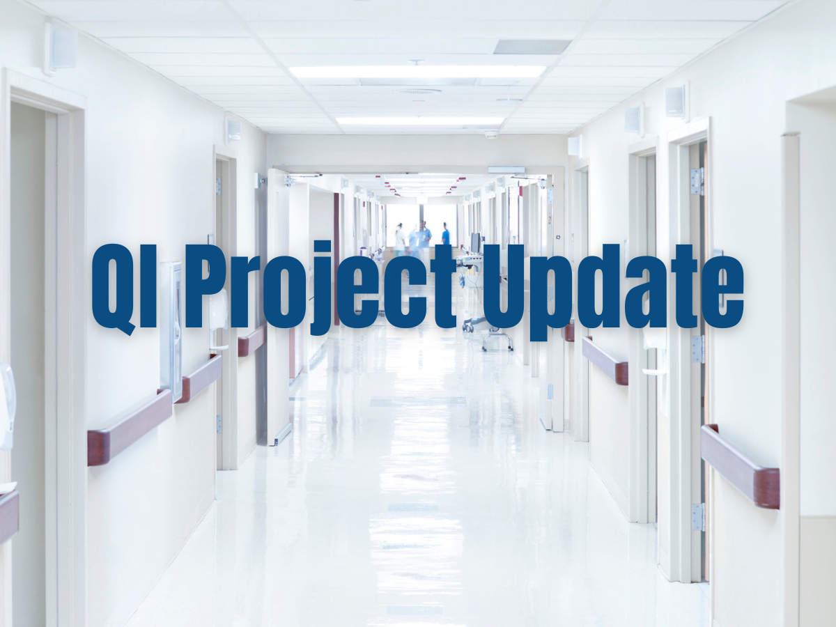 Quality Improvement Challenge – INS 2024